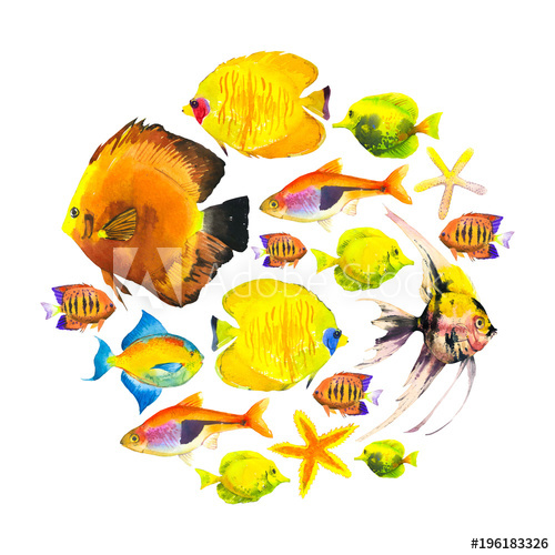 500x500 Round Composition With Tropical Fish. Watercolor Illustration With
