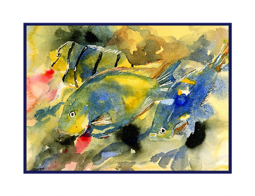 498x384 Tropical Fish Watercolor Note Cards