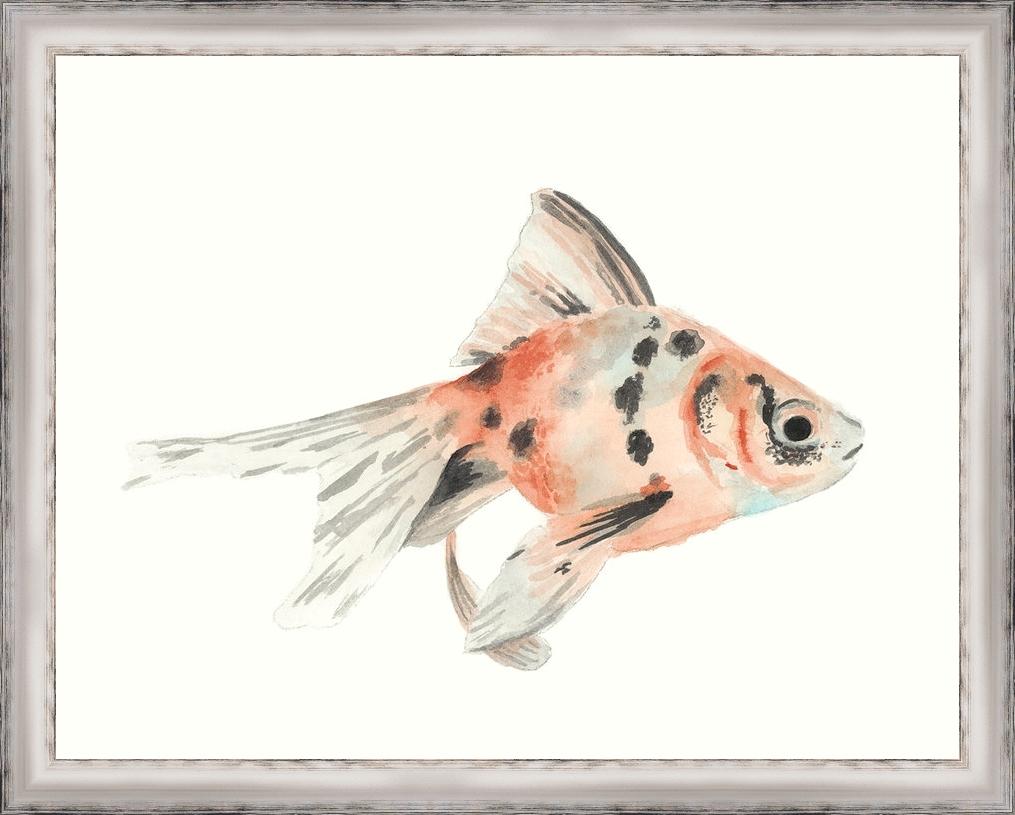 1015x815 Watercolor Tropical Fish I Framed Paper Art Print
