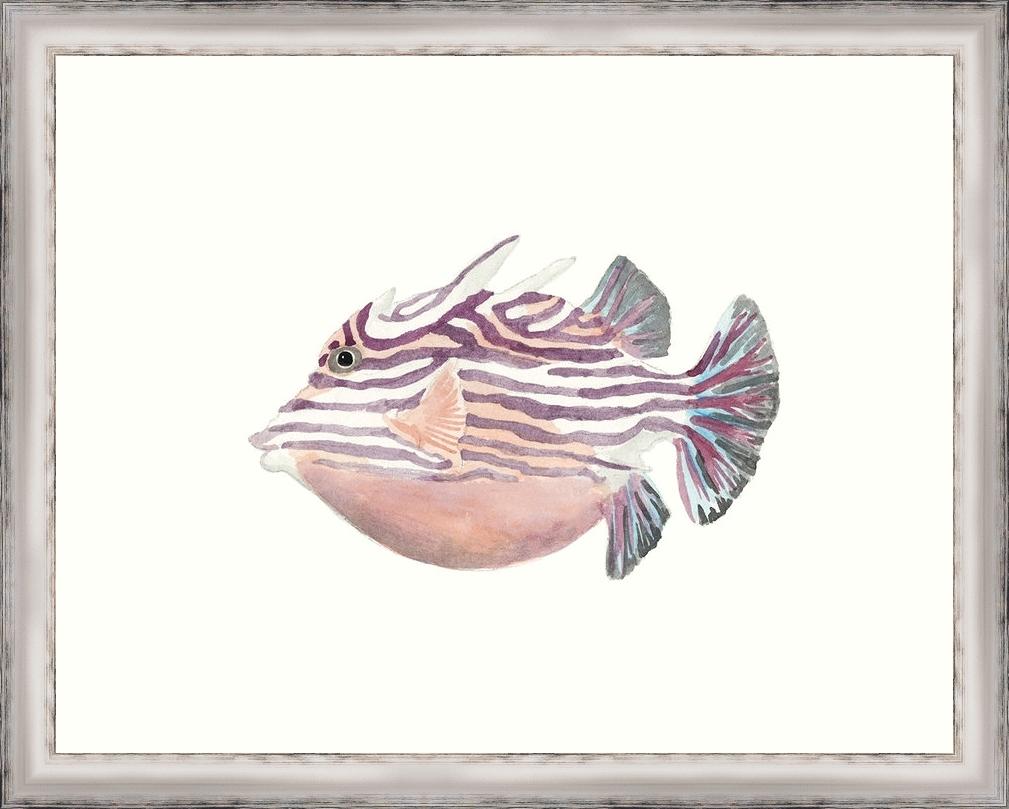 1009x809 Watercolor Tropical Fish Ii Framed Paper Art Print