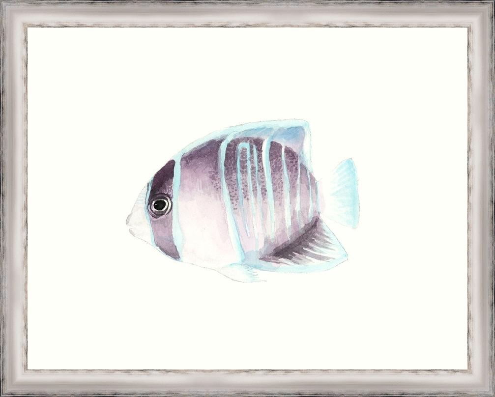 1007x808 Watercolor Tropical Fish Iii Framed Paper Art Print