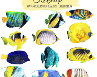 340x270 Watercolor Fish Etsy