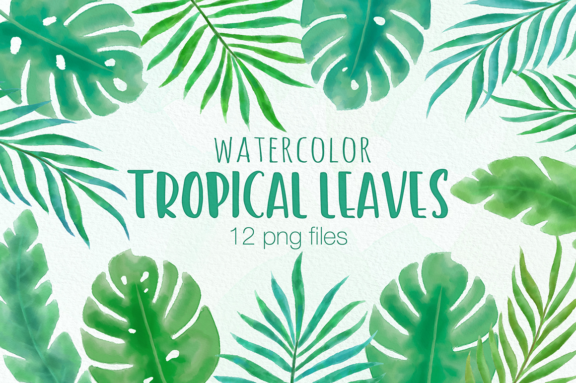 1160x772 Tropical Leaf Watercolor Illustrations