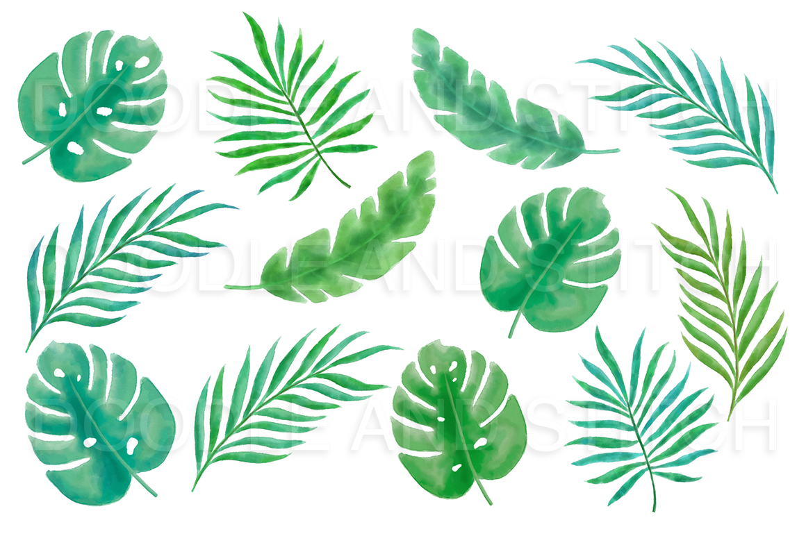 1160x772 Tropical Leaves Watercolor Clipart Illustrations By Doodle Art