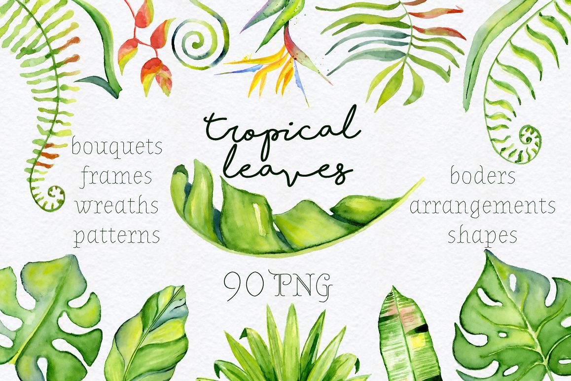1158x772 Tropical Leaves Watercolor Clipart