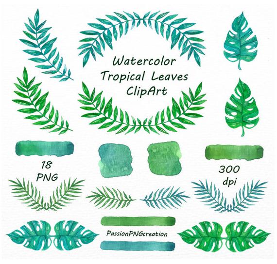 570x545 Watercolor Tropical Leaves Clipart Watercolor Leaves Etsy