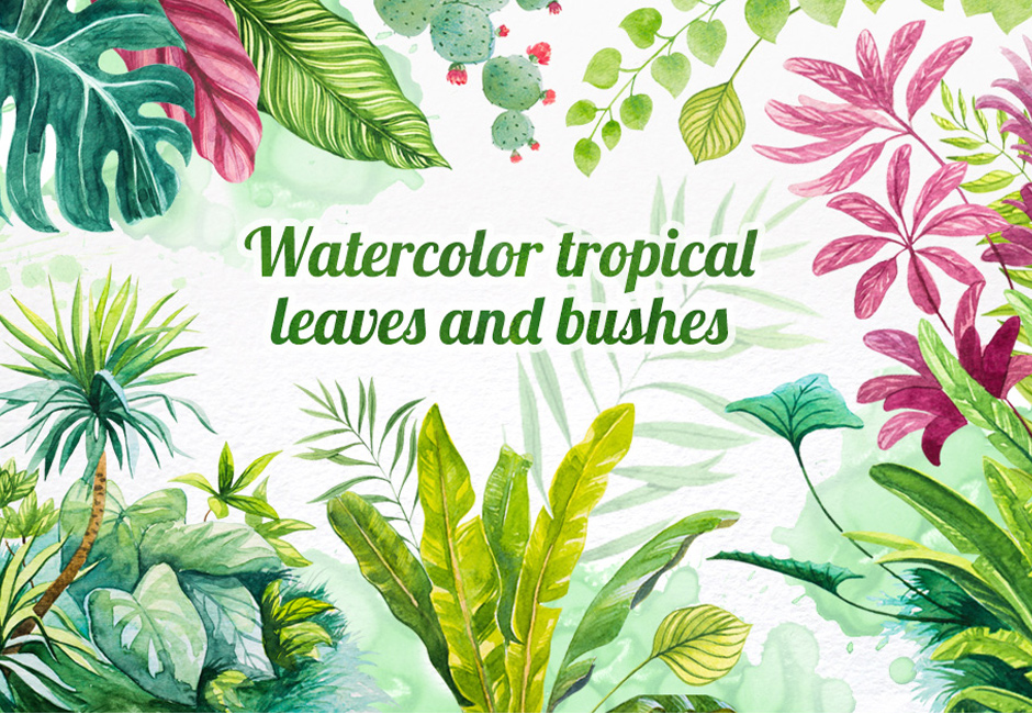 940x650 Watercolor Tropical Leaves Set Of 16 Plant Illustrations