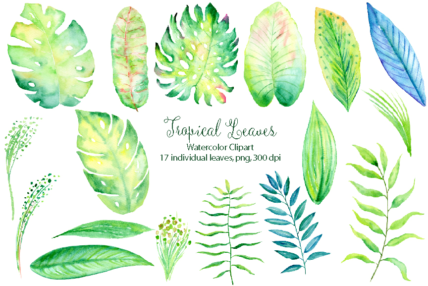 864x577 Watercolor Tropical Leaves By Cornercroft