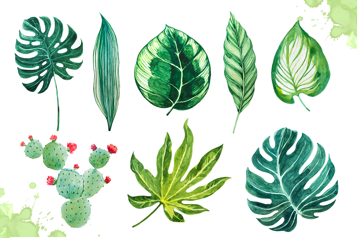 1160x774 Watercolor Tropical Leaves Set 2 By Alex Green
