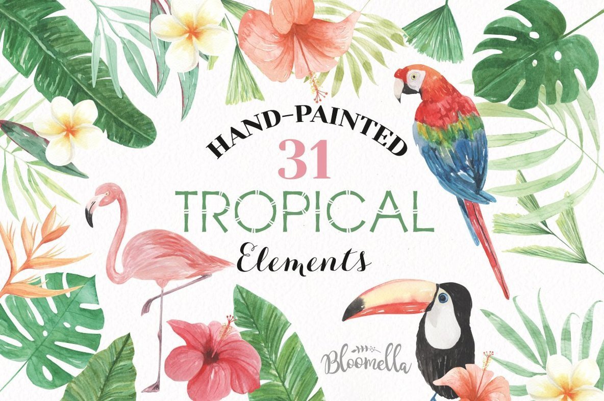 1184x786 Tropical Elements Watercolor Package