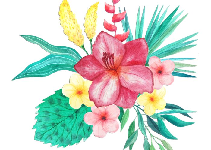700x500 Tropical Watercolor Bouquet 9 Greeting Card For Sale By Elaine Plesser