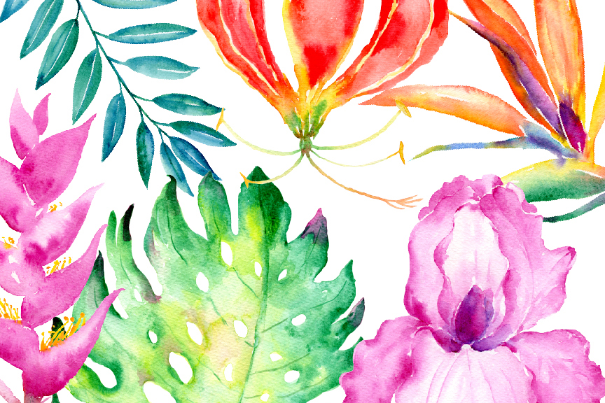 864x576 Watercolor Clipart Tropical Collection By Cornercroft
