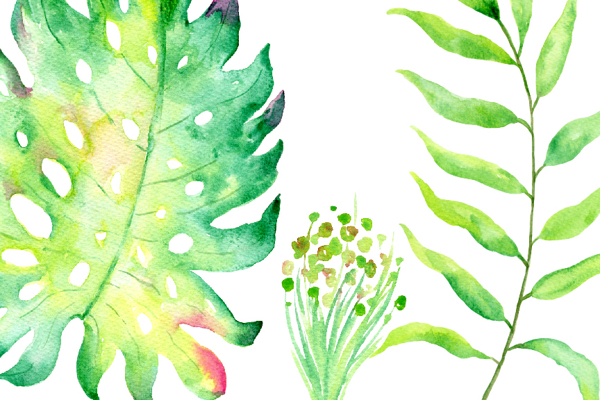 864x576 Watercolor Tropical Leaves By Cornercroft