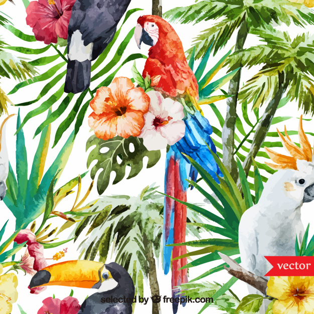 626x626 Watercolor Tropical Background Vector Free Download