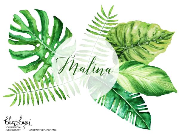 600x450 Watercolor Tropical Leaves, Monstera Clipart, Palm Clipart Blursbyai