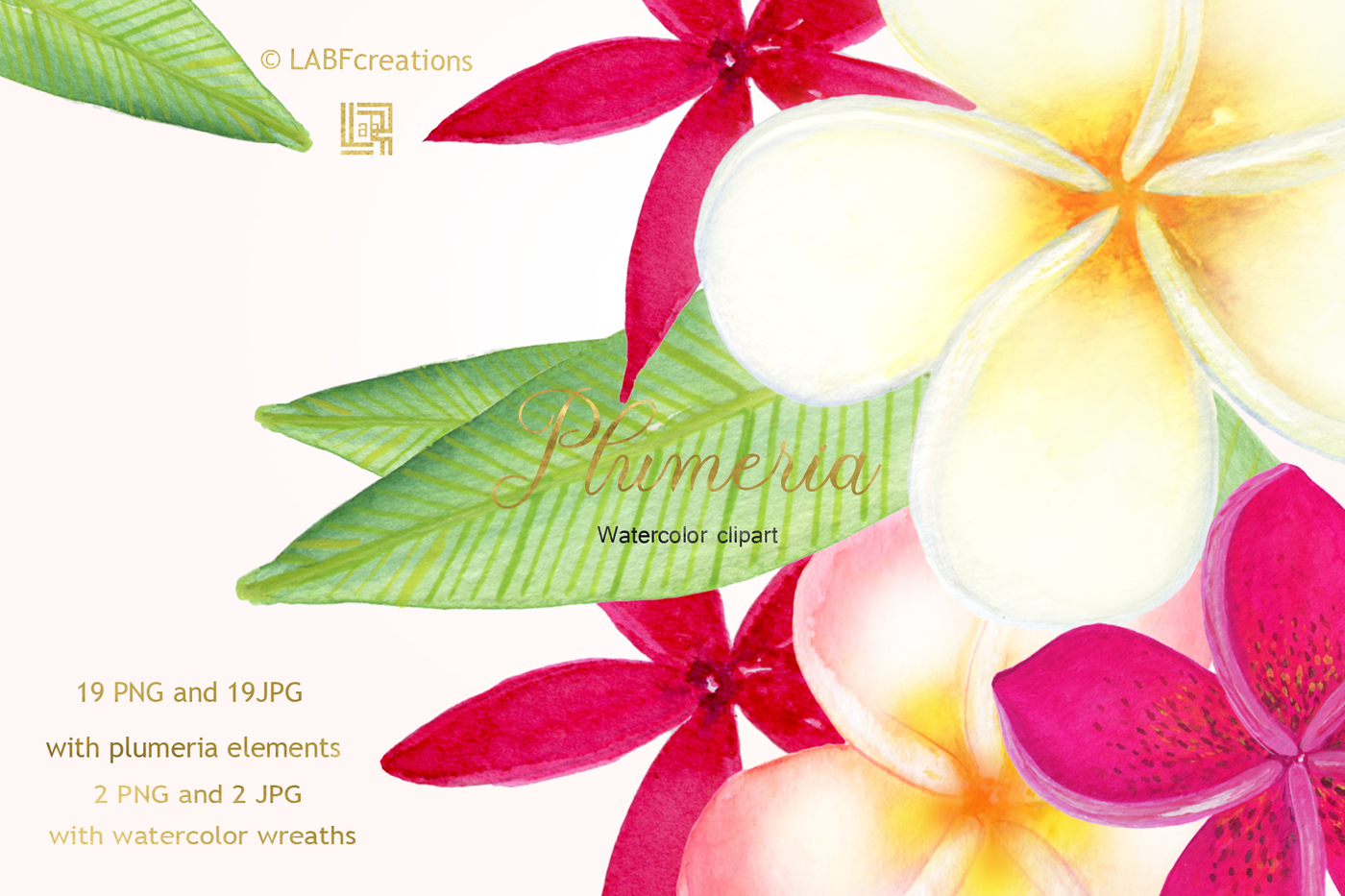 1400x933 Plumeria Tropical Watercolor Flowers By Labfcreations