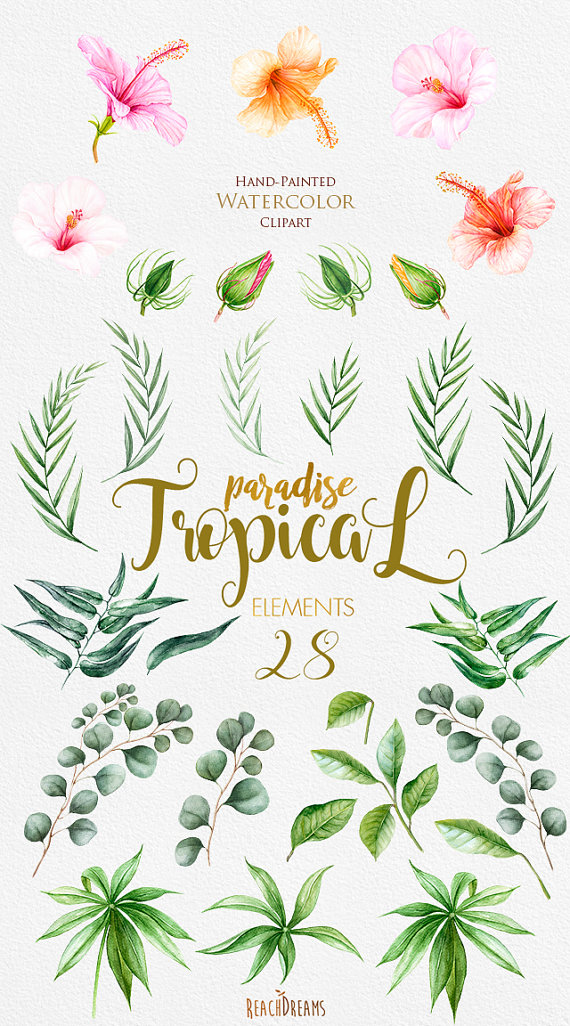 570x1026 Tropic Clipart, Tropical Watercolor Flowers Amp Leaves, Hibiscus