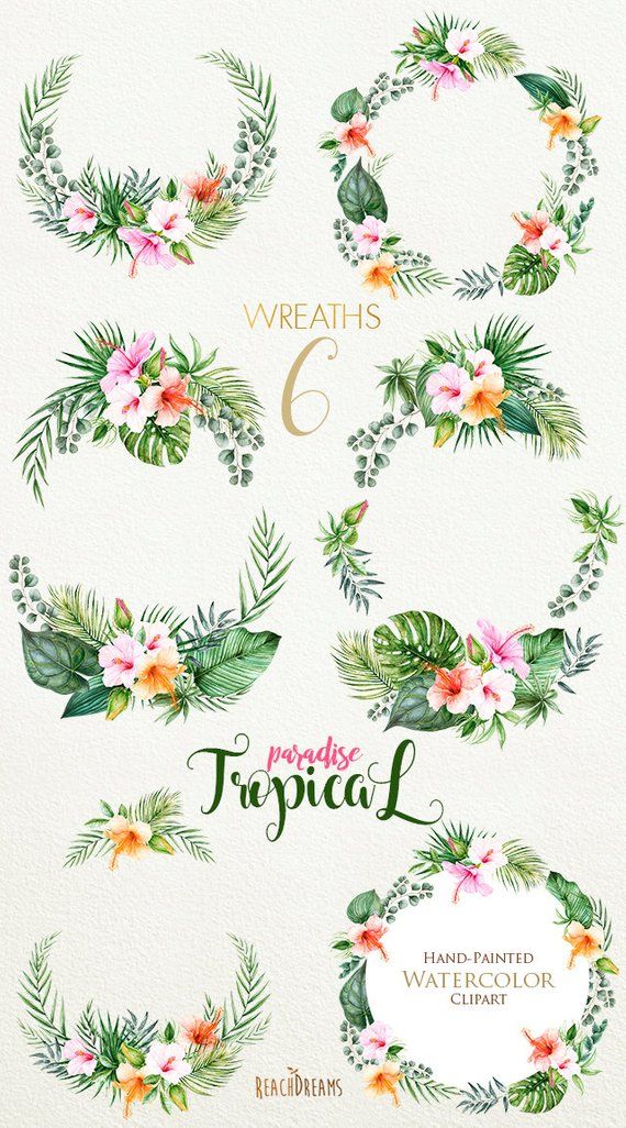 570x1026 Tropical Watercolor Flowers Amp Leaves, Tropic Wreaths Clipart
