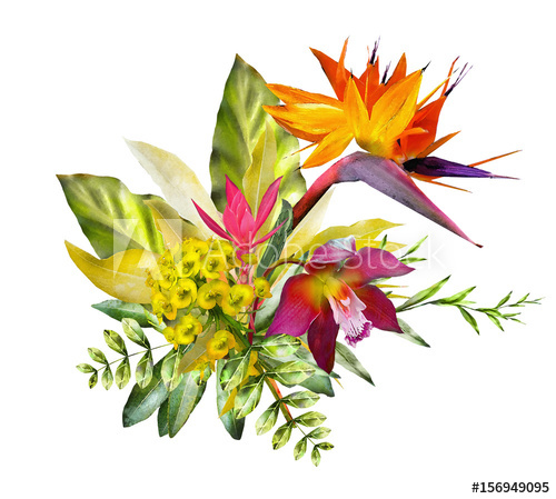 500x449 Tropical Watercolor Flowers
