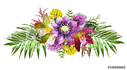 500x276 Tropical Watercolor Flowers. Card With Floral Illustration