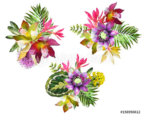 500x405 Set Tropical Watercolor Flowers. Floral Illustration. Collection