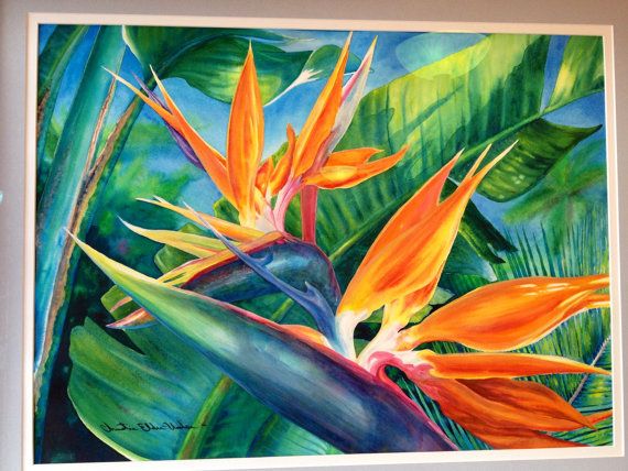 570x428 Original Large Framed Hawaiian Bird Of Paradise Watercolor Art