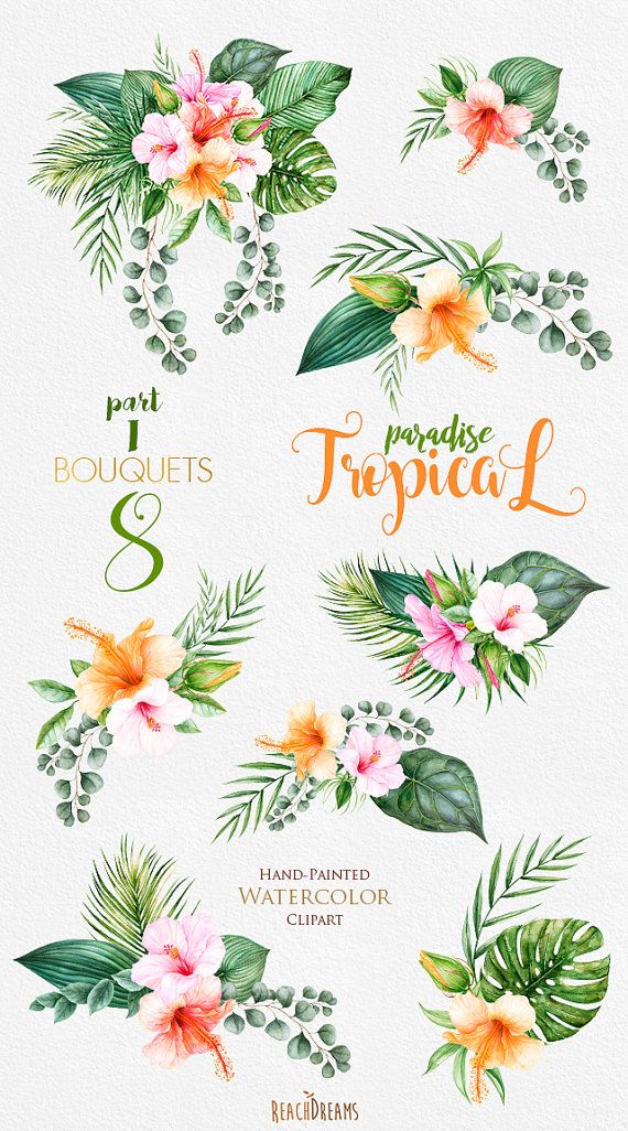 570x1026 Tropical Watercolor Flowers Amp Leaves, Tropic Bouquets Clipart
