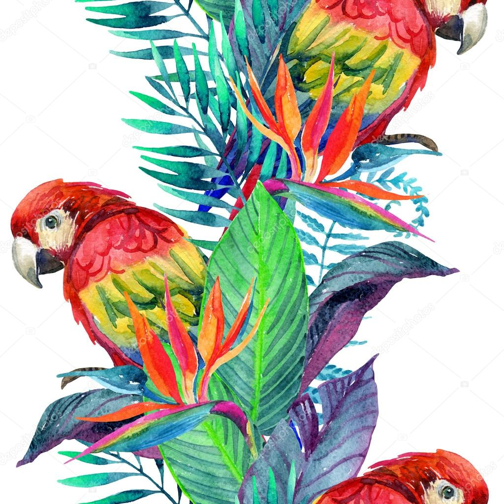1024x1024 Watercolor Paintings Of Parrots Watercolor Parrots With Tropical