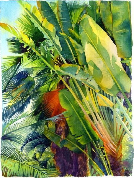 454x600 Cayman Palm By Marlies Merk Najaka Watercolor Painters