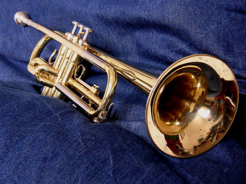 800x599 August 2013 Watercolor Challenge