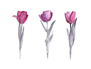 300x229 Purple Tulips Watercolor Painting Painting By Joanna Szmerdt