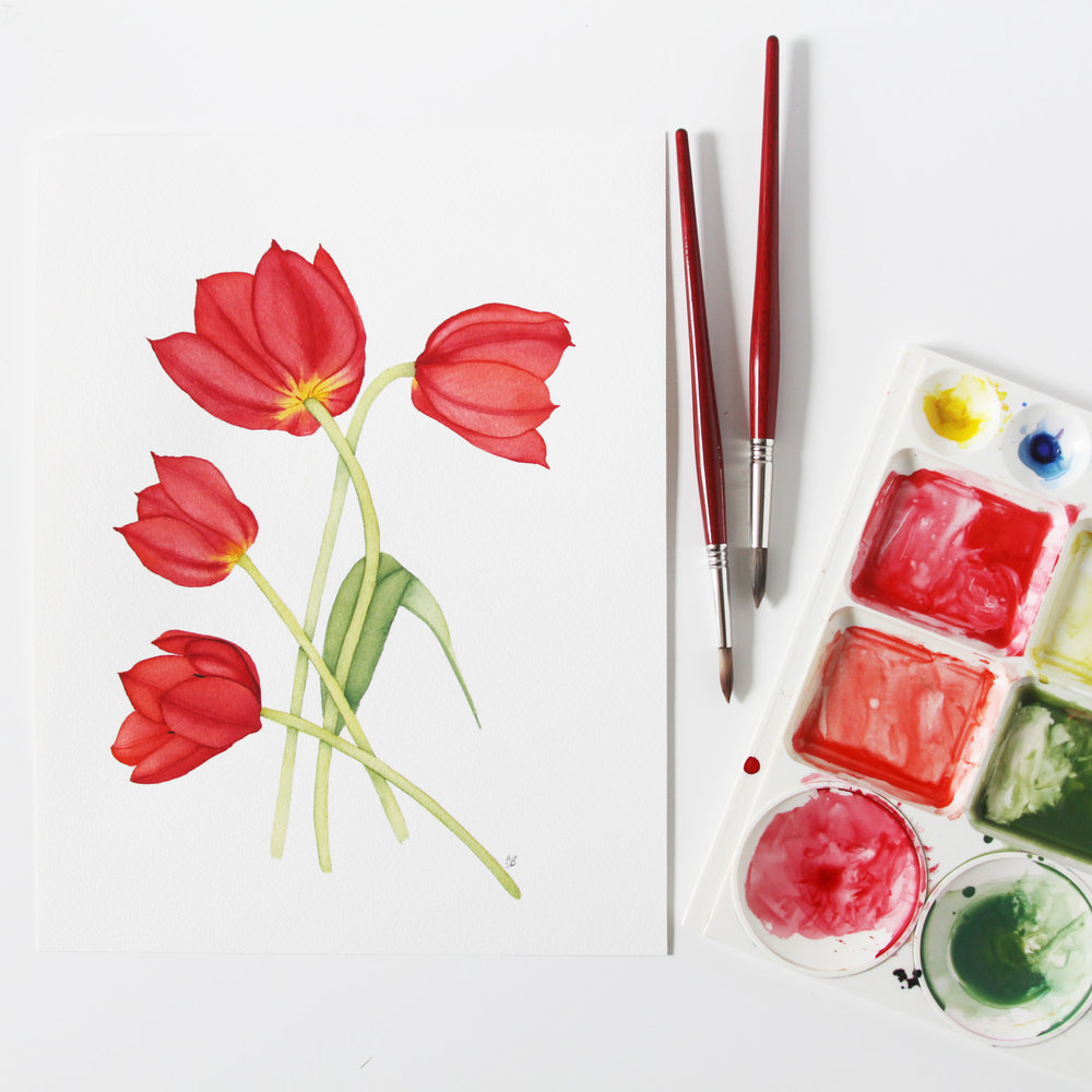 1000x1000 Red Tulips Watercolor Painting My Giant Strawberry