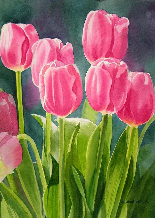 639x900 Tulip Watercolor Paintings Fine Art America