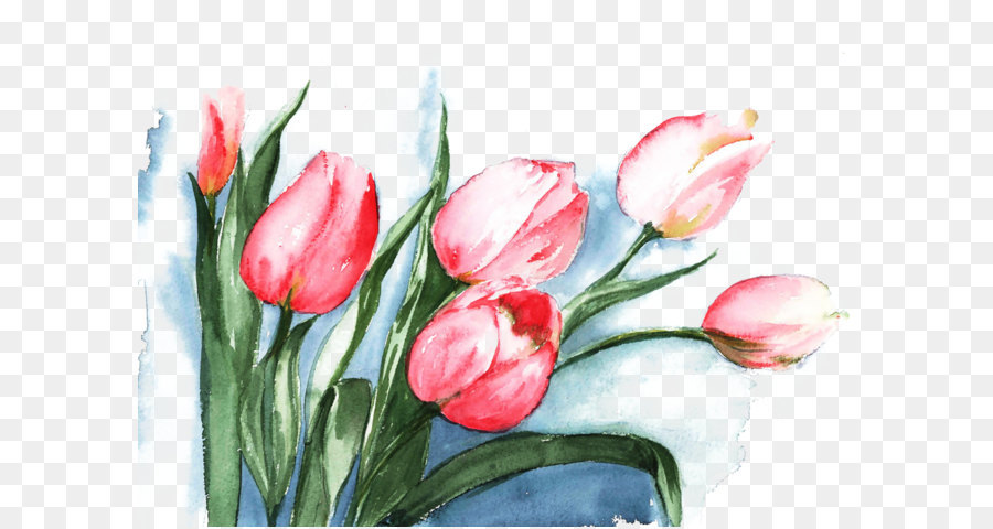 900x480 Tulip Watercolor Painting Flower