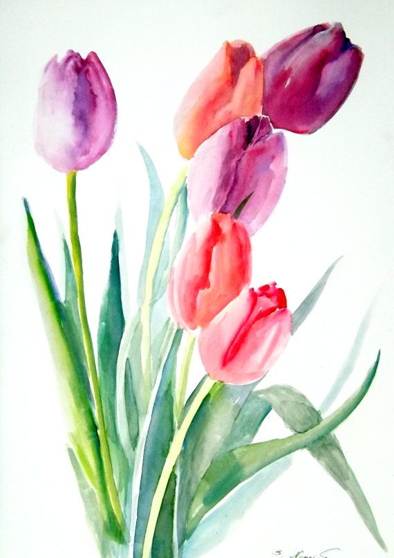 570x806 Tulips, Original Watercolor Painting 12 X 9 Painting