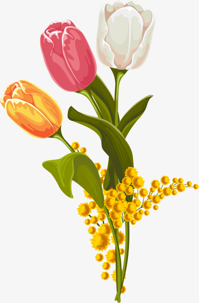 650x990 Vector Tulip Watercolor 4, Watercolor Vector, Vector Flowers
