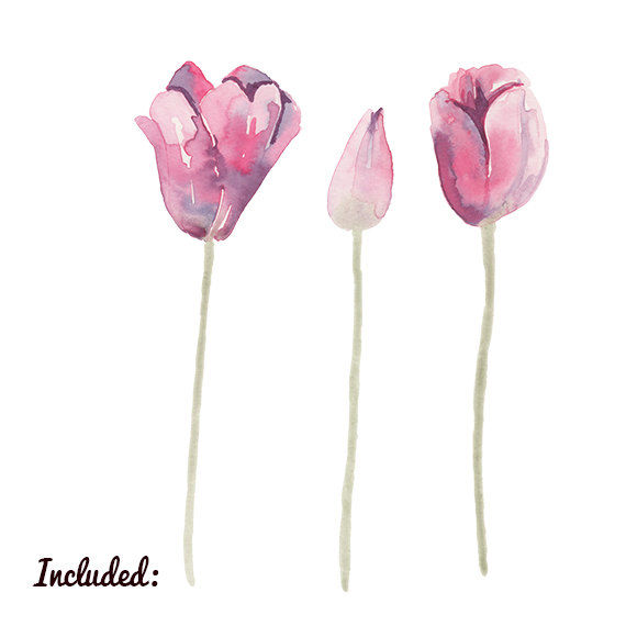 570x570 Watercolor Tulip Flower Clip Art For Scrapbooking Instant Downlo