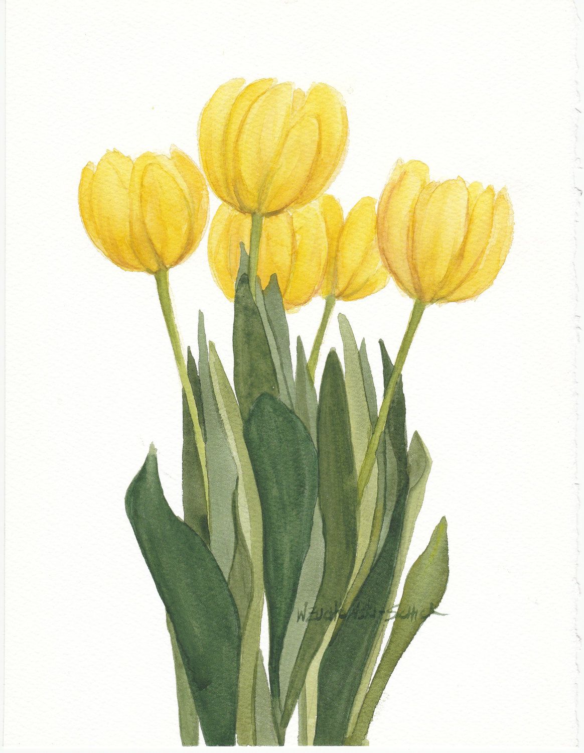 1164x1500 Yellow Tulip Bunch Original Watercolor Art I Love