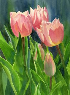Tulip Watercolor Paintings