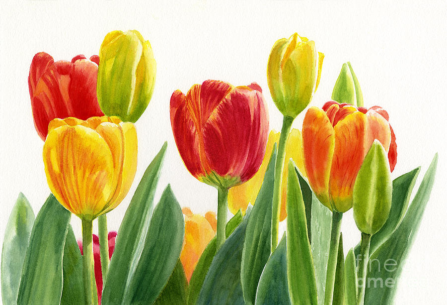 900x613 Orange And Yellow Tulips Horizontal Design Painting By Sharon Freeman