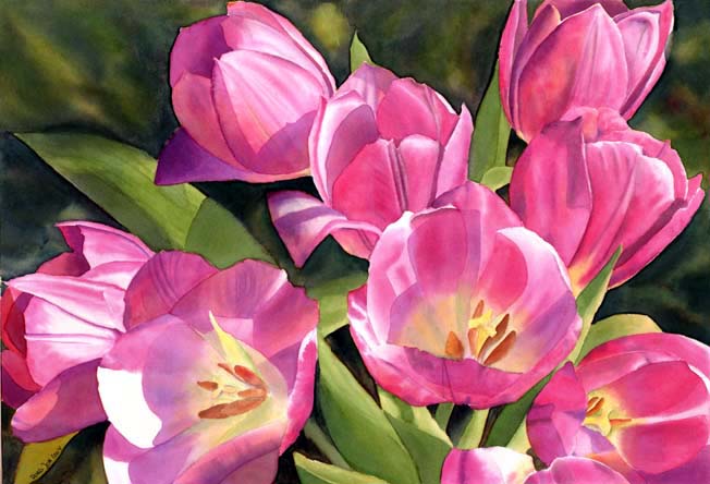652x444 Pink Tulips Watercolor Amp Oil Paintings Of Roses