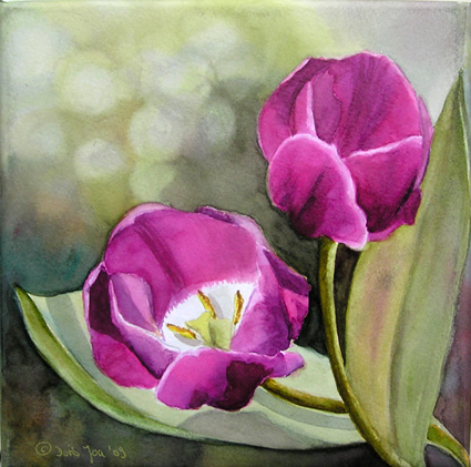 425x421 Purple Tulips