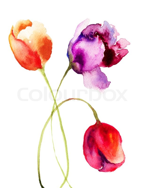 630x800 Beautiful Tulips Flowers, Watercolor Painting Stock Photo