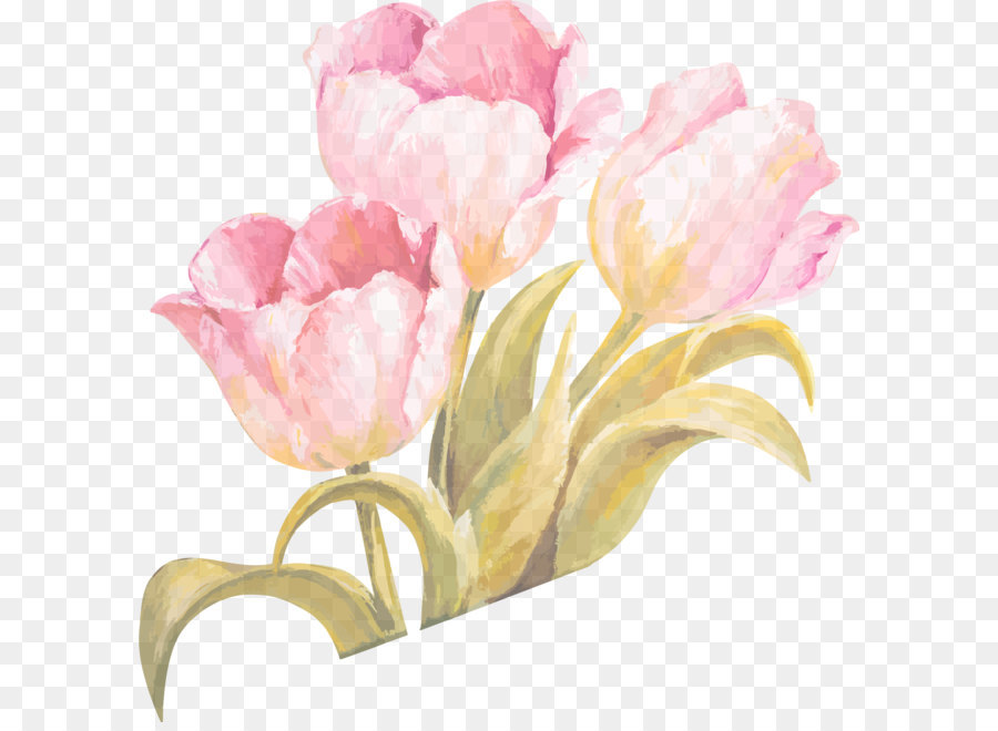 900x660 Tulip Watercolor Painting Flower
