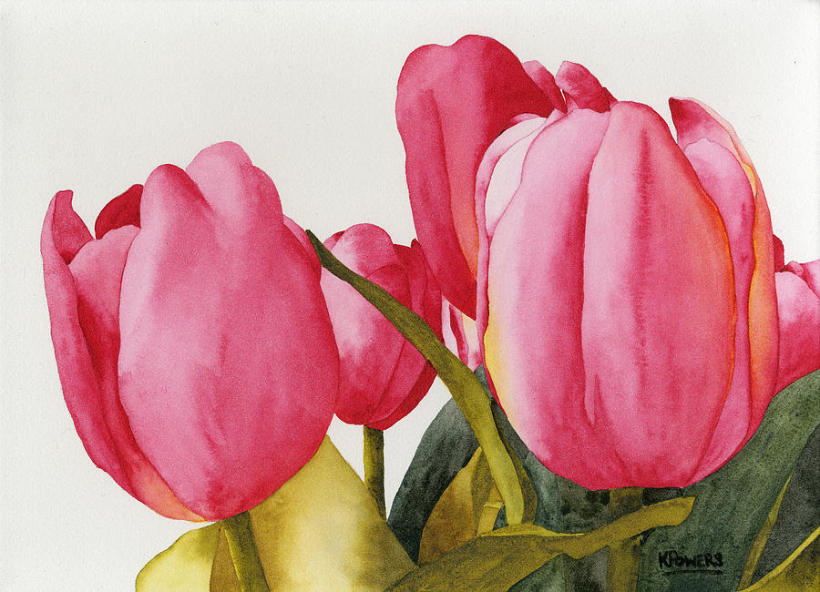900x650 Tulip Watercolor Paintings