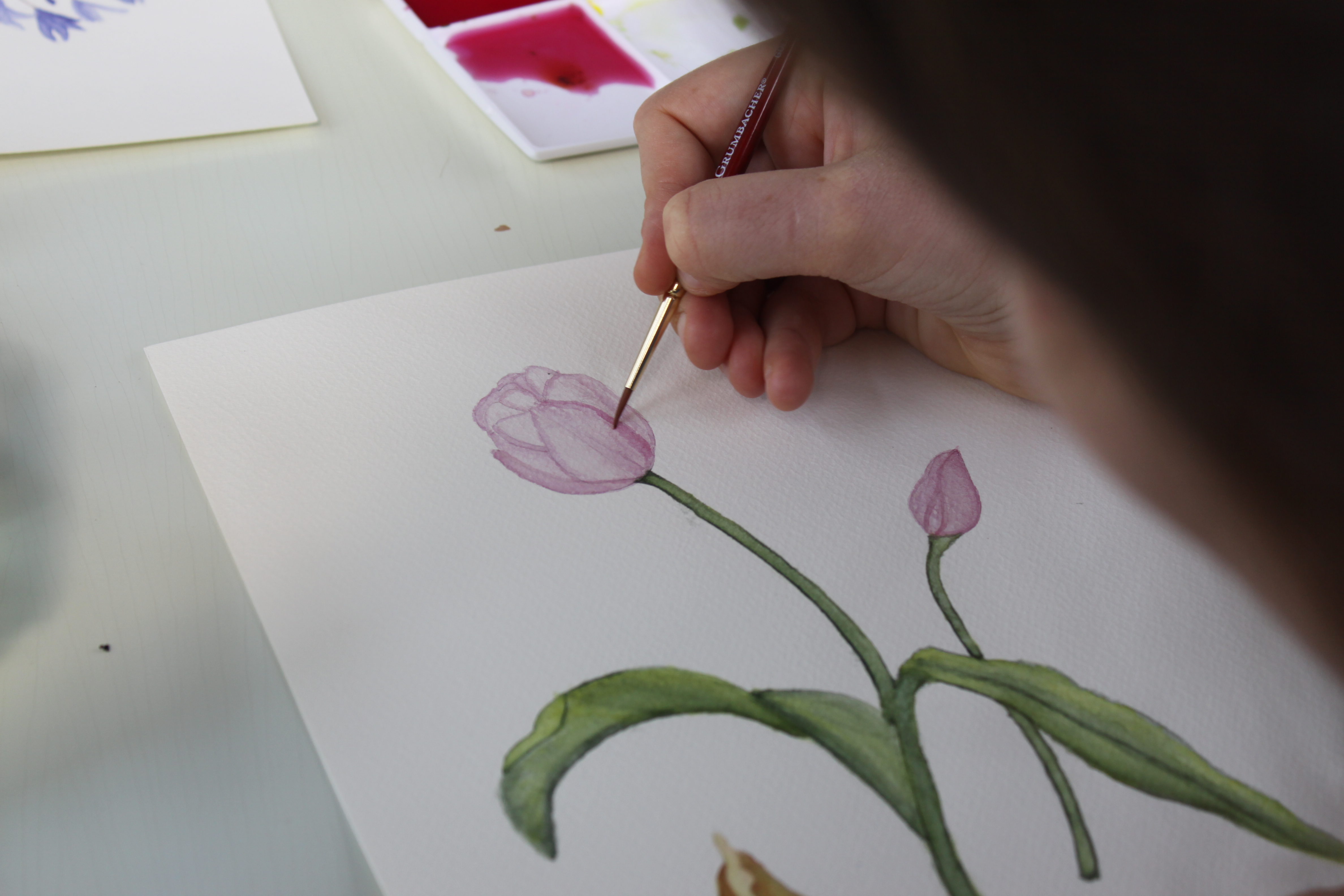 4752x3168 Family Watercolor In Progress Afternoon Artist