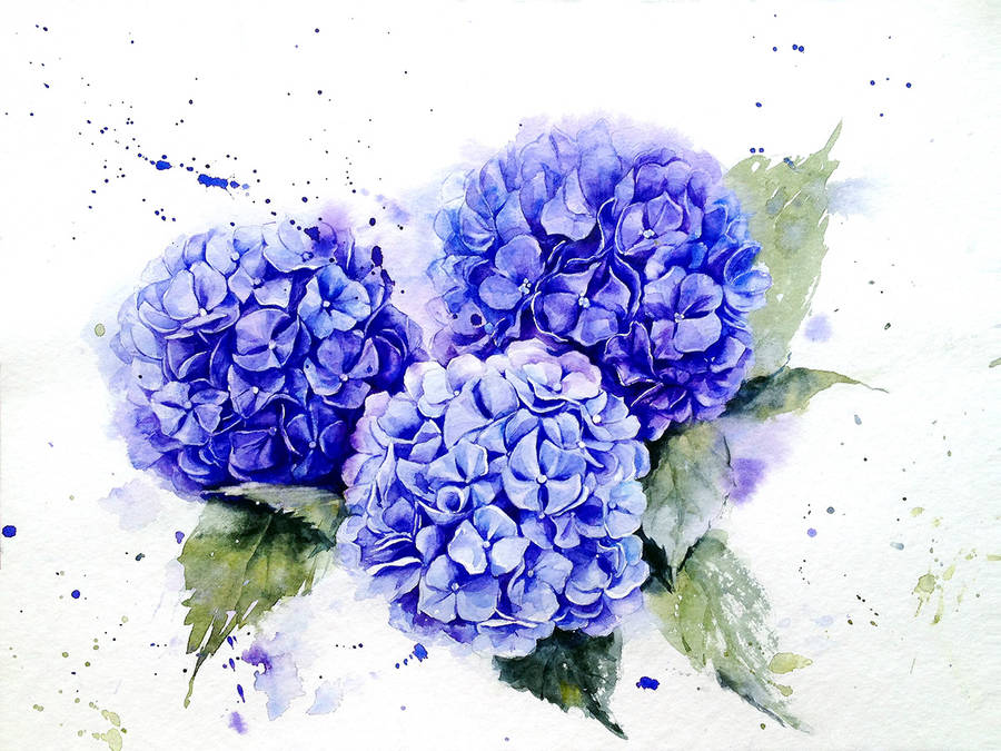 900x675 Poetic Amp Realistic Flowers Watercolor Paintings Fubiz Media