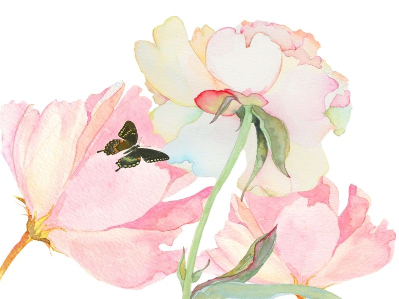 800x600 Watercolor Flowers Deepcoveflowers Tumblr Watercolor Flower