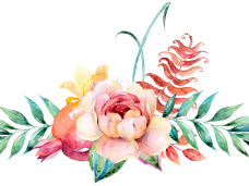 228x171 Watercolor Flowers Vector Png Archives