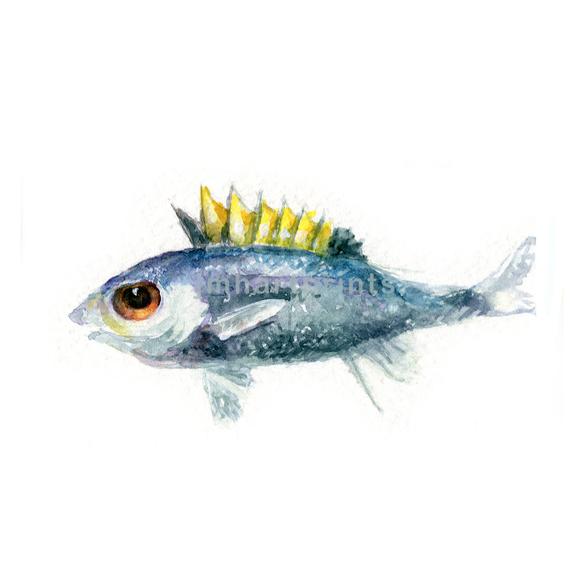 580x580 Sealife Jen Holloway Art